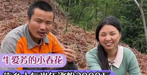 爆料小春花的视频,一场网络爆料的视觉盛宴